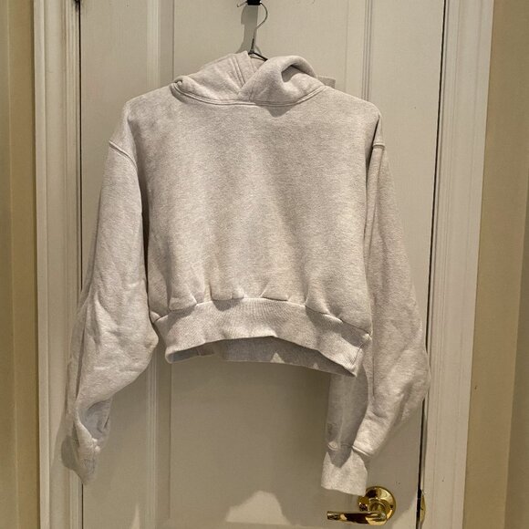 Aritzia Tops - Aritzia Gray Cropped Hoodie